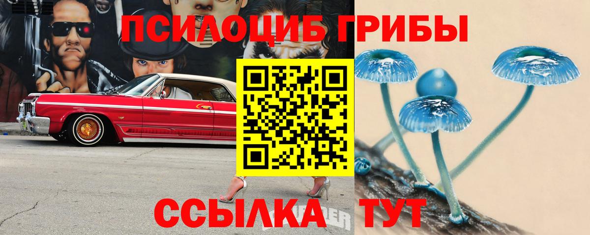 Красногорск  Псилоцибиновые грибы MAGIC MUSHROOMS  купить  сайты  Галлюциногенные грибы ЛСД  Вход с VPN 